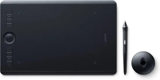 Wacom Intuous Pro